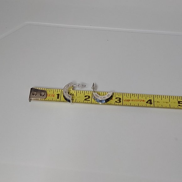 Multi Toned Blue Earrings - Picture 9 of 9